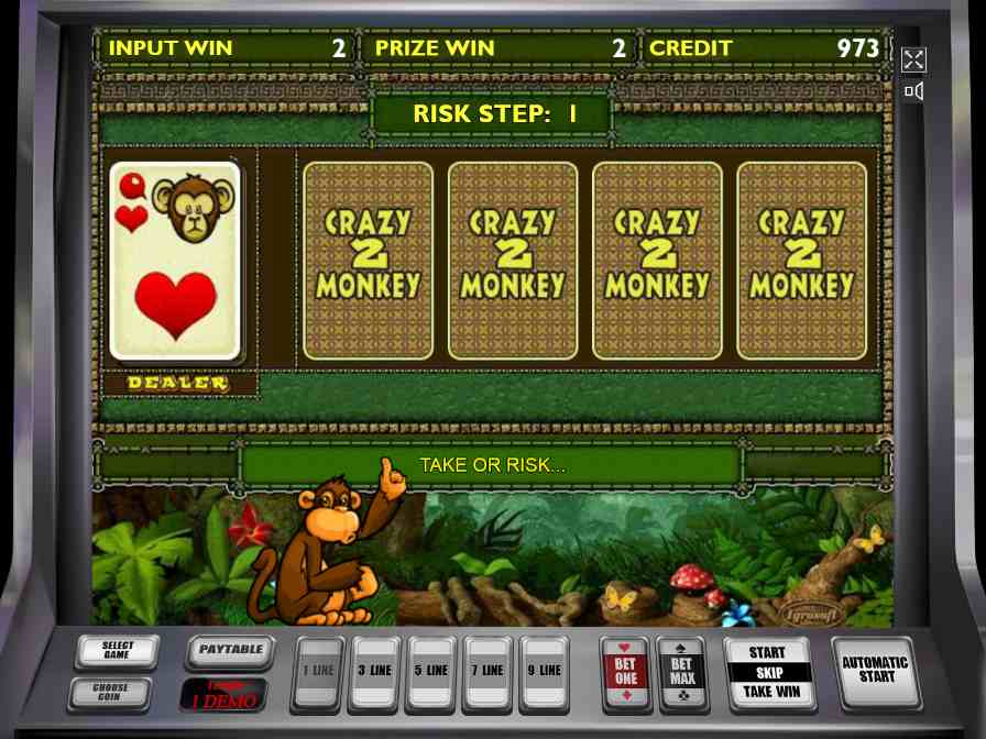 Риск-игра в слоте Crazy Monkey 2